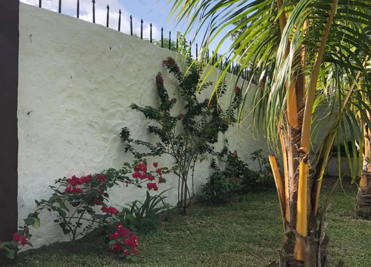 Apartment Hcs Bungalows Turtle Bay Rustic Bungalow Au Cap