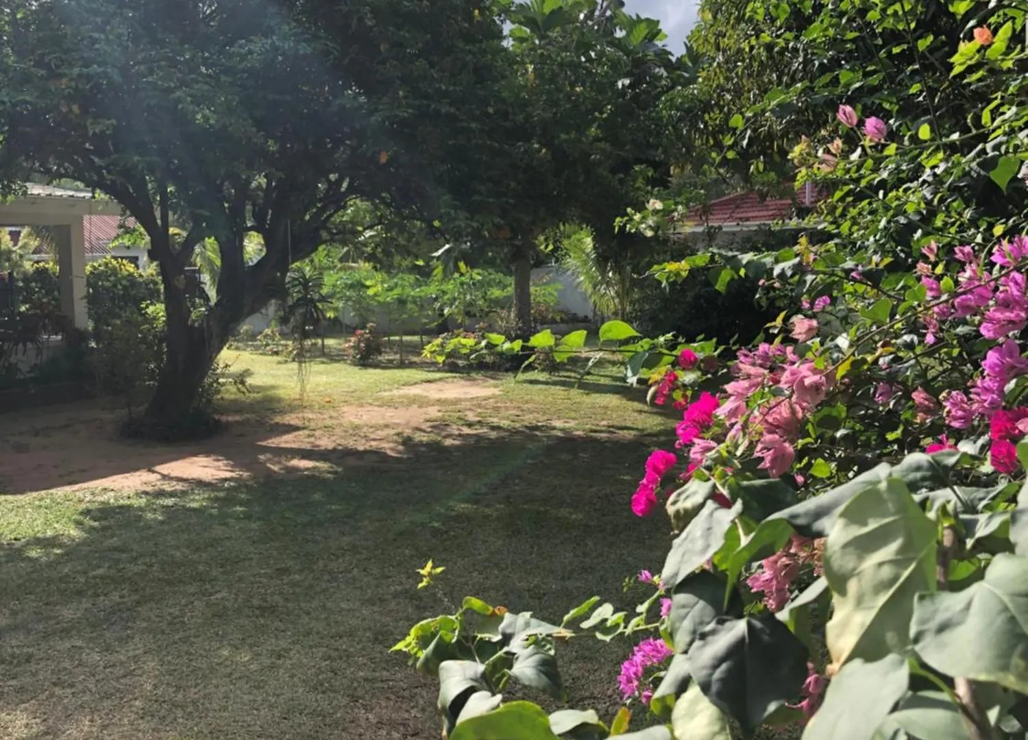 Hcs Bungalows Turtle Bay Rustic Bungalow Au Cap 0*,