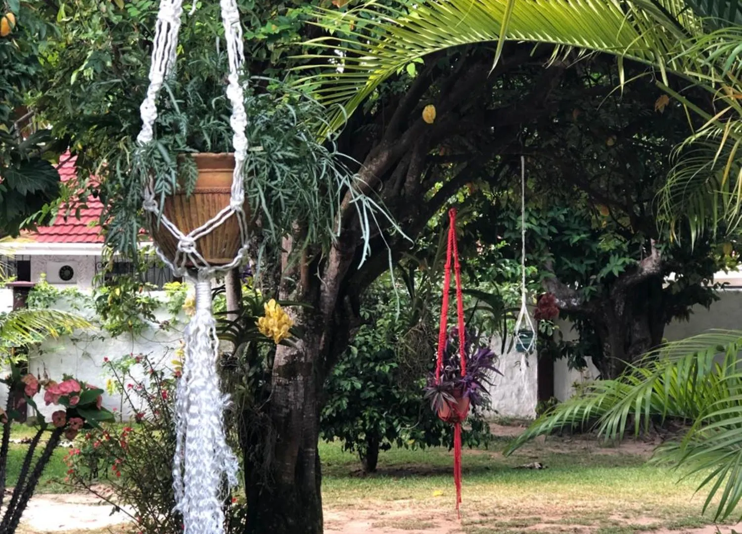Apartment Hcs Bungalows Turtle Bay Rustic Bungalow Au Cap