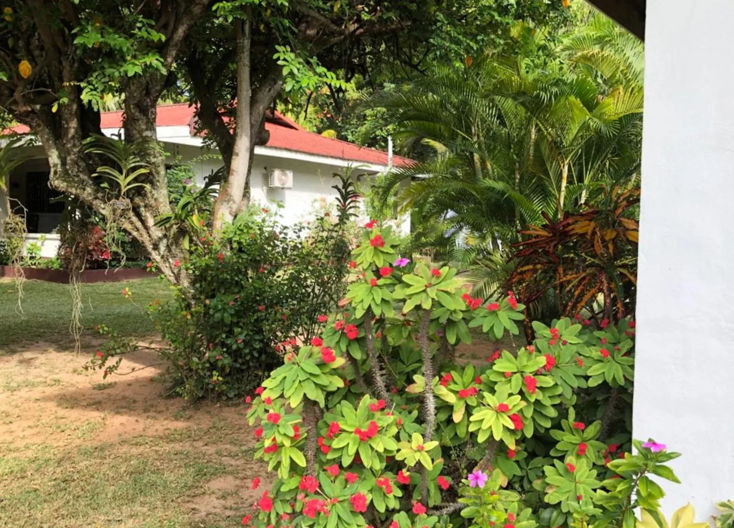 Hcs Bungalows Turtle Bay Rustic Bungalow Au Cap Apartment