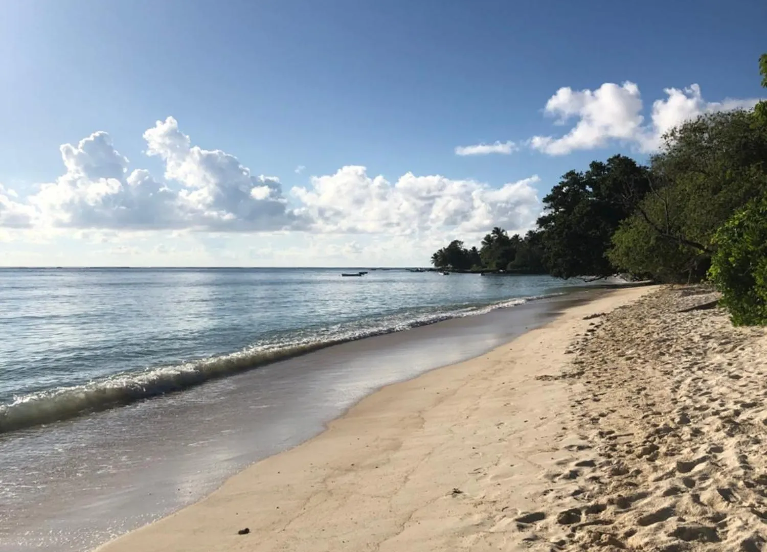 Apartment Hcs Bungalows Turtle Bay Rustic Bungalow Au Cap Seychelles