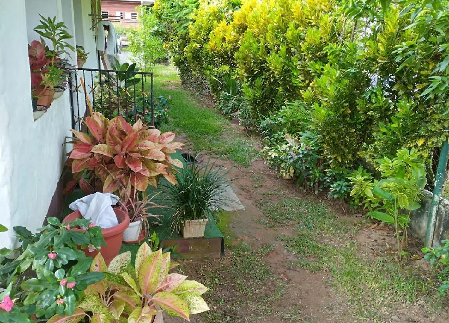 Hcs Bungalows Turtle Bay Rustic Bungalow Au Cap Apartment