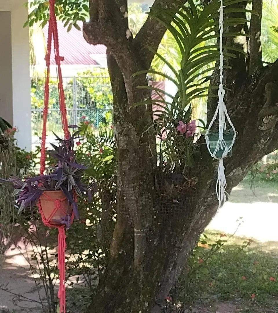 Hcs Bungalows Turtle Bay Rustic Bungalow Au Cap 0*,  Seychelles