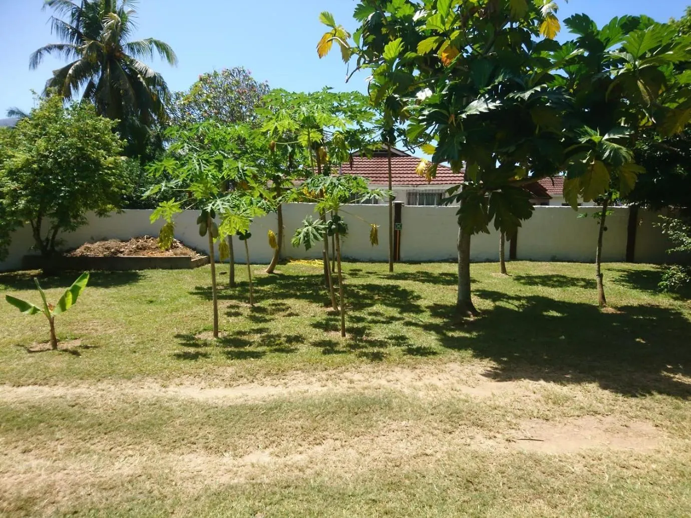 Apartment Hcs Bungalows Turtle Bay Rustic Bungalow Au Cap