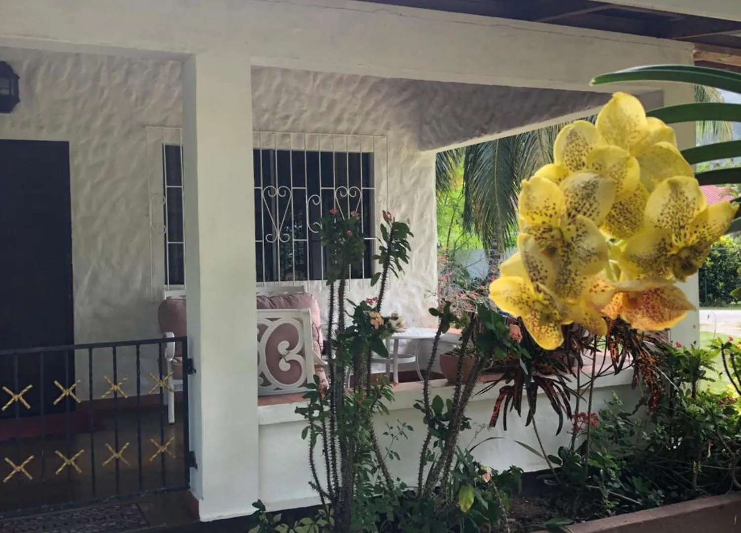 Hcs Bungalows Turtle Bay Rustic Bungalow Au Cap Appartamento