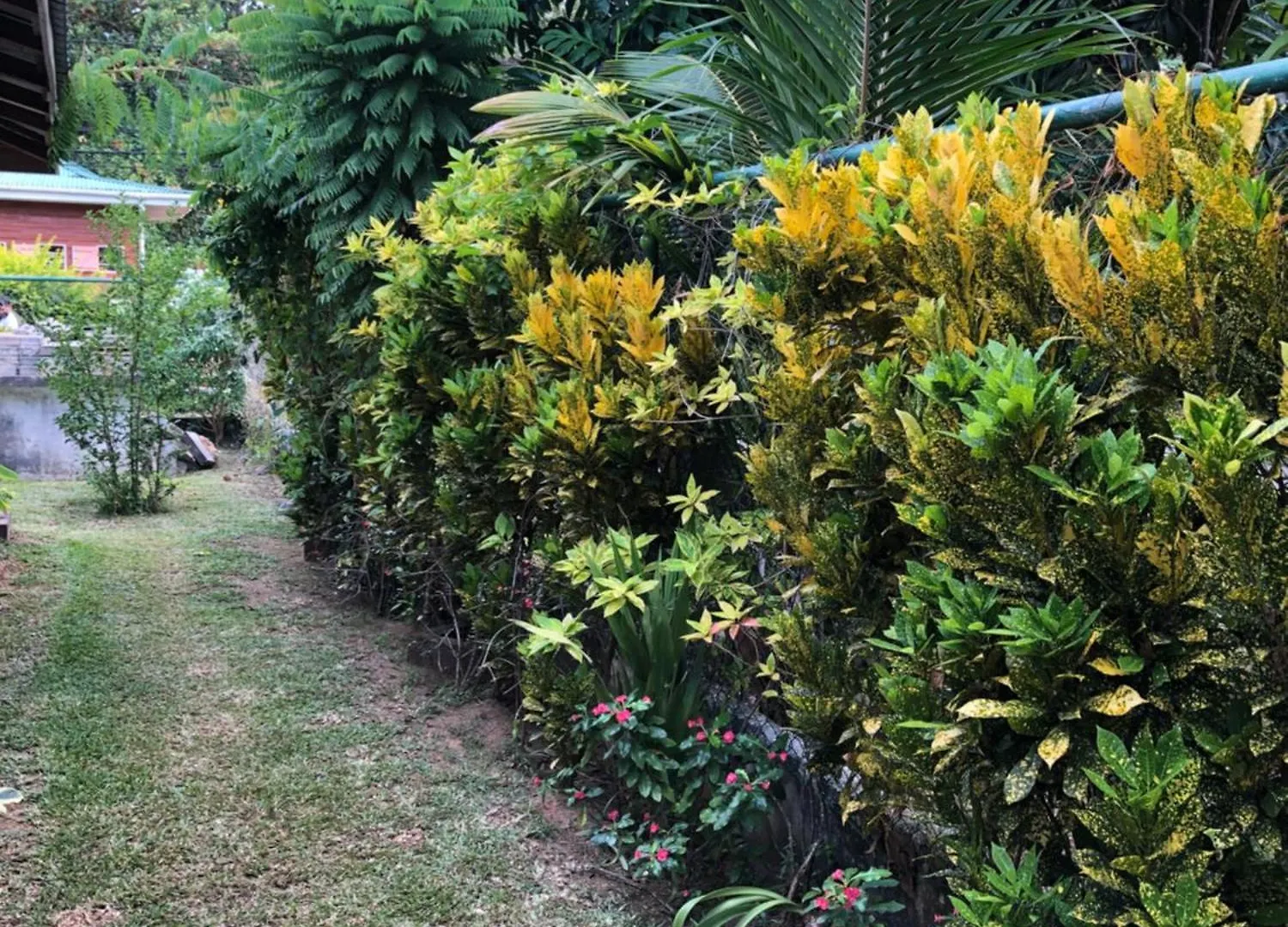 Hcs Bungalows Turtle Bay Rustic Bungalow Au Cap Appartamento