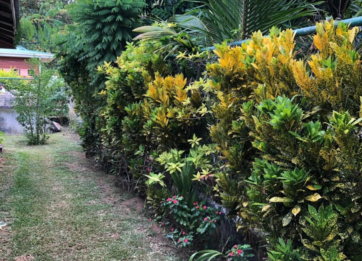 Hcs Bungalows Turtle Bay Rustic Bungalow Au Cap Seychellen