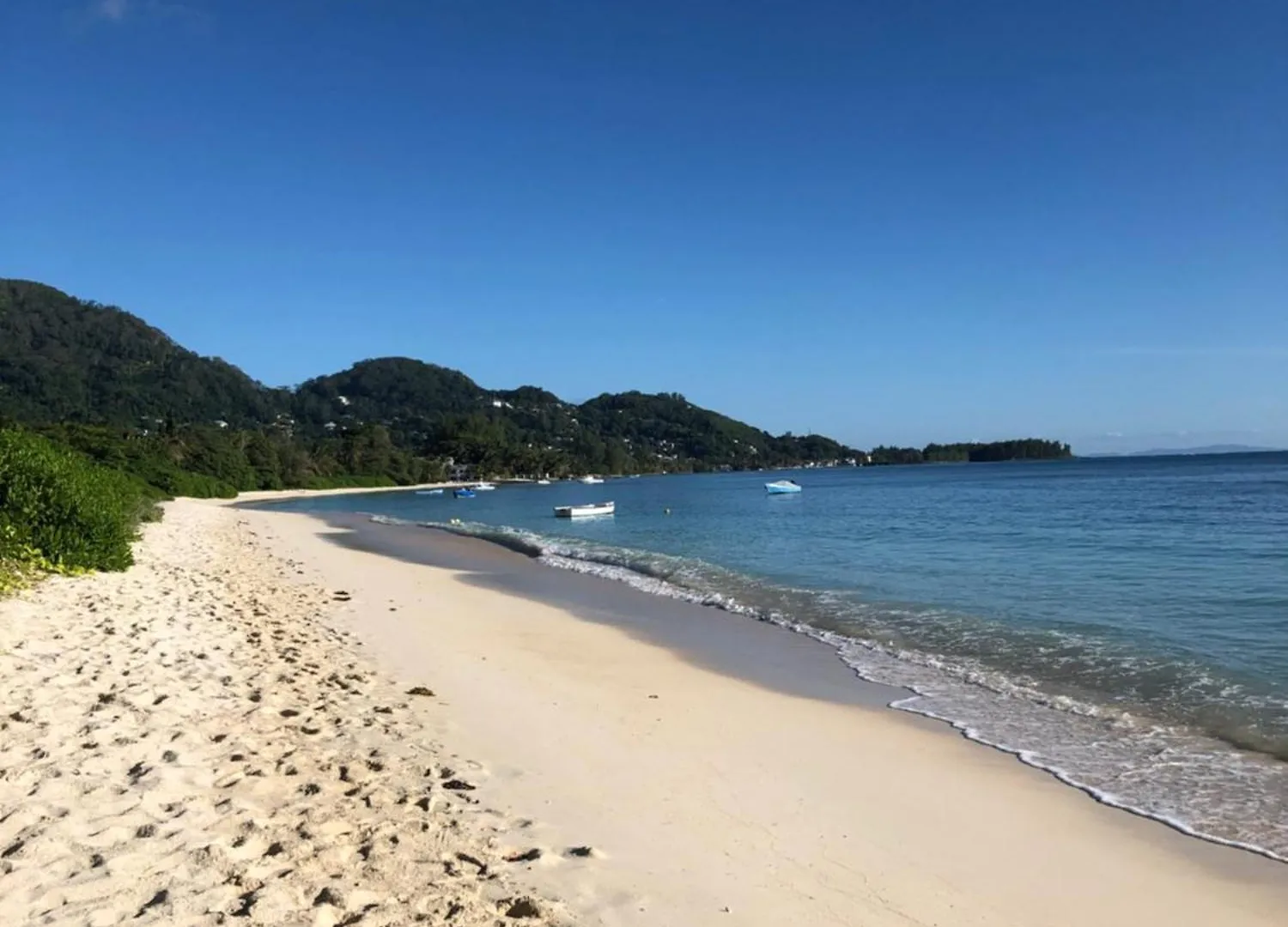 Apartment Hcs Bungalows Turtle Bay Rustic Bungalow Au Cap Seychellen